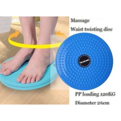 Balance Board Twist Plate